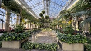 Discovering Tranquility at Longwood Gardens