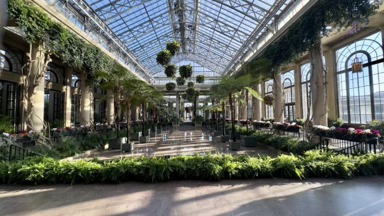 Longwood Gardens conservatory filled with orchids, ferns, and natural light, showcasing mindful travel and a peaceful garden retreat.