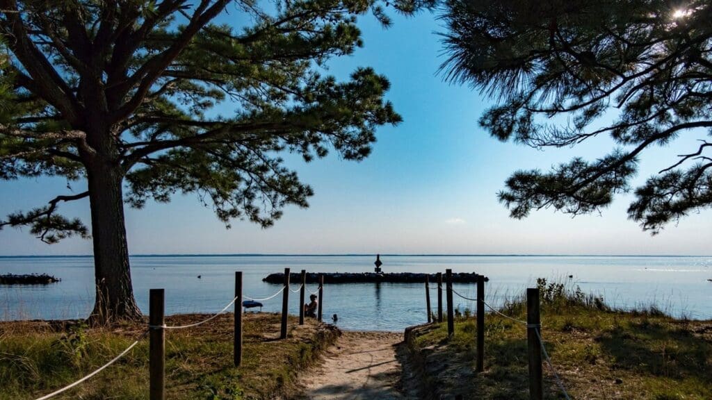 Scenic sandy path leading to a wooden pier overlooking the Chesapeake Bay at Point Lookout State Park, a popular spot for fishing and nature walks.