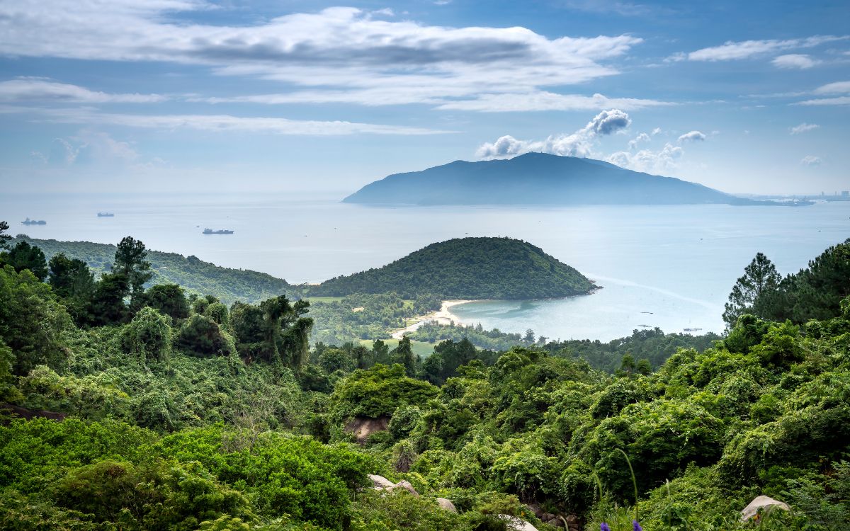Mindful living resources inspired by nature — a peaceful bay view surrounded by lush greenery, symbolizing calm, clarity, and intentional living.