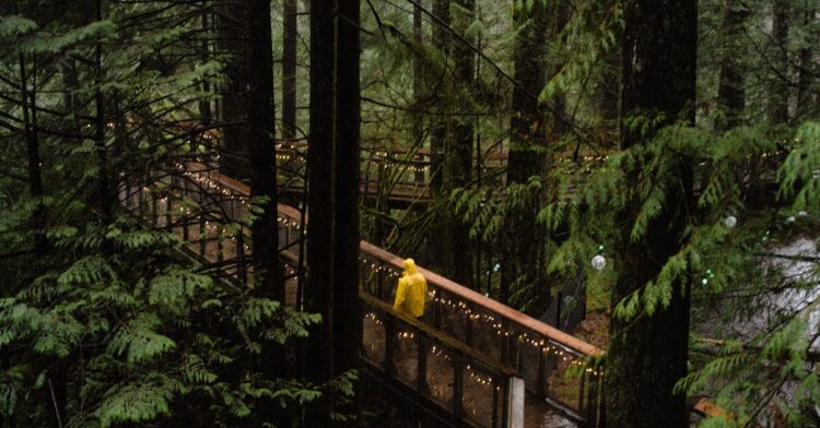A person in a yellow raincoat strolls along a wooded boardwalk in North Vancouver, enjoying a peaceful digital detox travel experience.