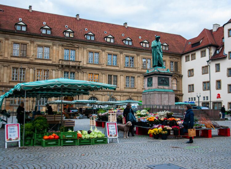 Explore the bustling street market in Stuttgart with colorful produce and historical architecture, a vibrant stop on a digital detox travel experience.