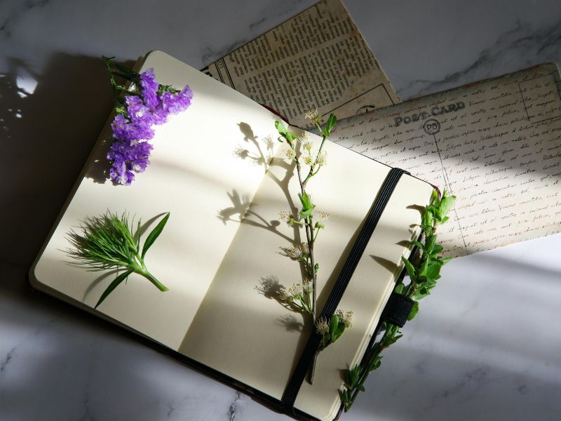 Evening wind-down ritual journal with flowers and soft light, inviting mindful reflection and everyday peace.
