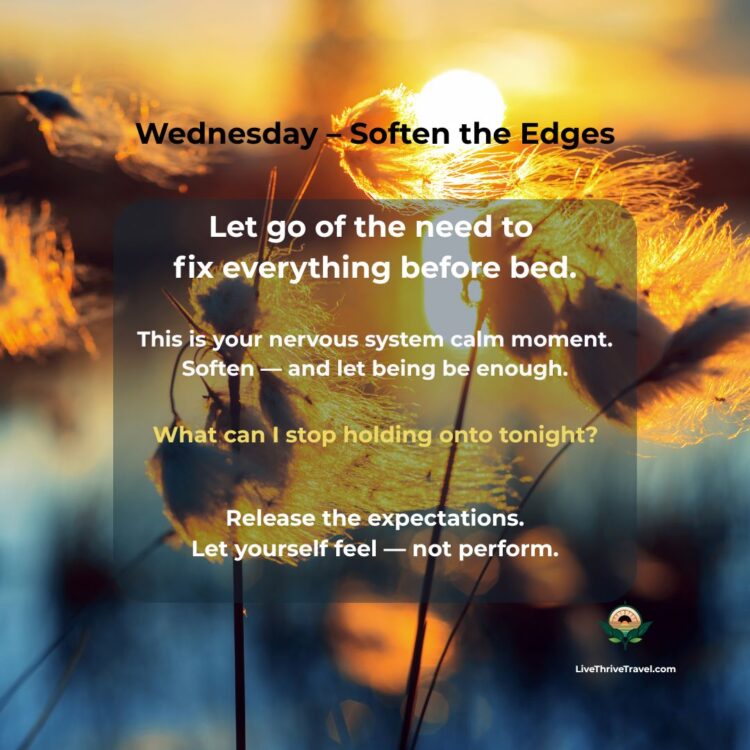 Golden dandelion in soft light at dusk, capturing Wednesday’s wind-down practice of softening expectations and releasing stress before bed.