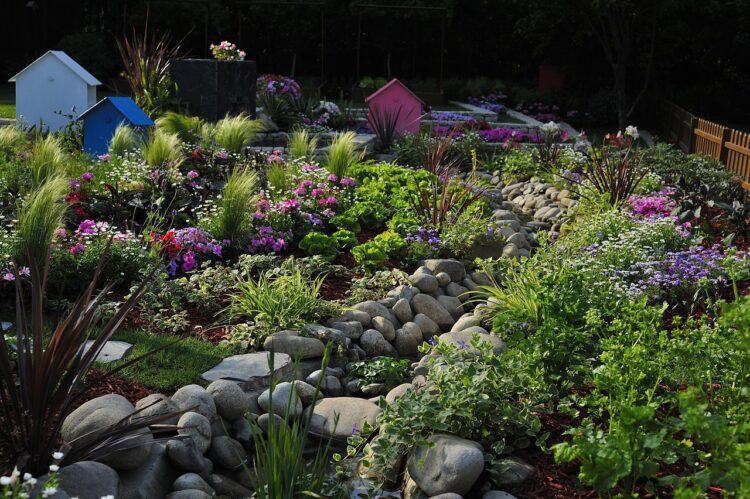 garden, beautiful flowers, yard, courtyard, back garden, flowers, grass, living, leisure, back yard, flower, grassland, flower background, flower wallpaper, nature, life, casual