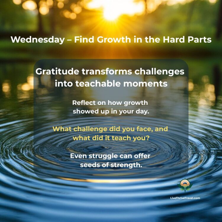 Golden sunset reflecting on calm rippling water — representing mindful growth, inner strength, and reflection during evening wind-down rituals.