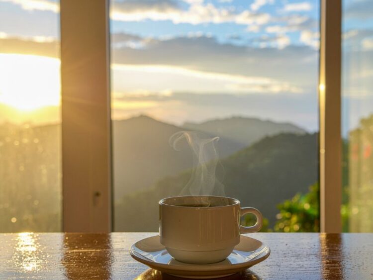 Warm tea ritual supporting mindful living and emotional wellness during winter