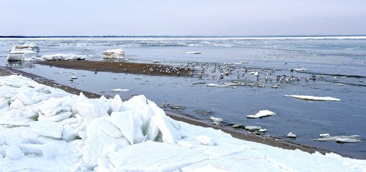 Winter shoreline reflecting emotional seasons and mindful living through difficult periods