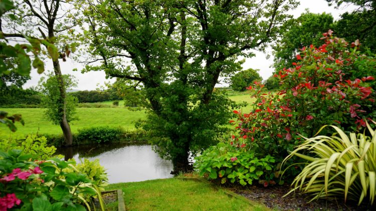 A serene landscape featuring a lush garden, vibrant flowers, and a peaceful pond.