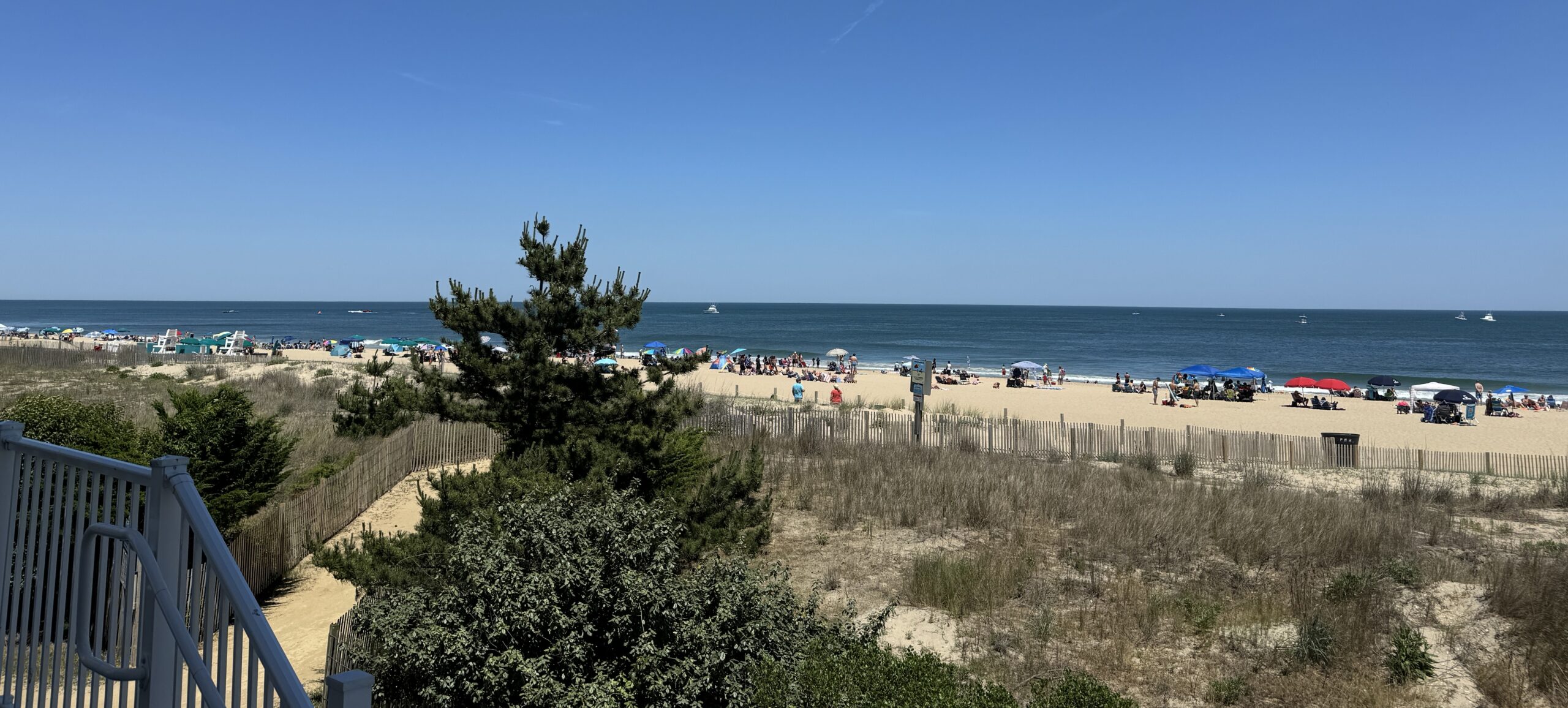 View across the dunes to the beach and ocean in Ocean City, Maryland
