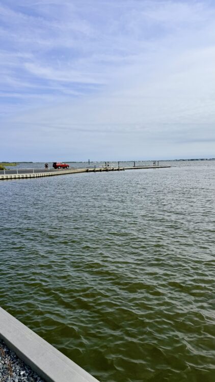 Wide water view at Assawoman Wildlife Area beneath an open sky.